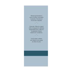 Jurnal. Volumul IX