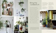 Bohemian Modern