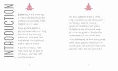 The Little Book of Healing Mantras