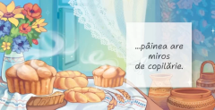 Citate. Doar acasa…