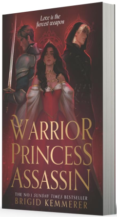 Warrior Princess Assassin