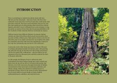 The History Trees