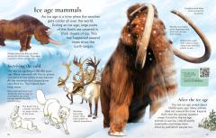 First Encyclopedia of Dinosaurs
