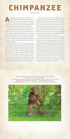 Babies