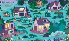Usborne Book and Jigsaw Forest Maze