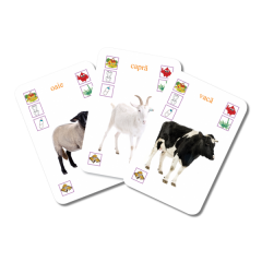 Carti de Joc Educative - Animalele