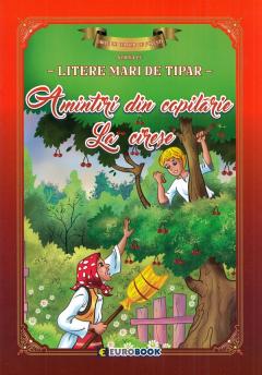 Amintiri din copilarie: La cirese. Carte de colorat cu povesti