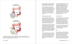 Mayo Clinic Guide to Gut Health