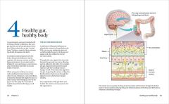 Mayo Clinic Guide to Gut Health