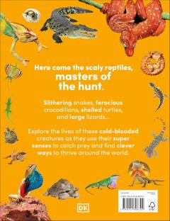 Reptiles