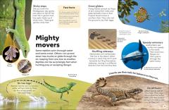 Reptiles