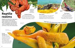 Reptiles