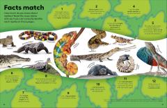 Reptiles