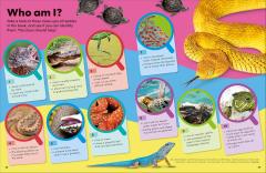 Reptiles