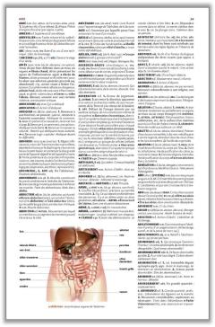 Petit Larousse Illustre 2027