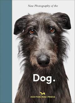 New Photography of the Dog
