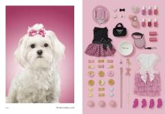 New Photography of the Dog