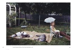 New Photography of the Dog