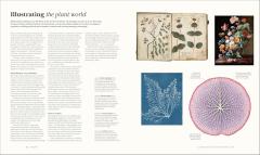 The Art of Science