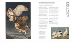 The Art of Science