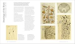 The Art of Science