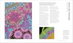 The Art of Science