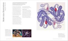 The Art of Science