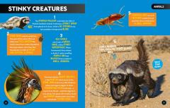Gross Fact Book