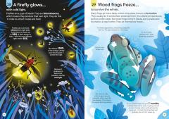 100 Things to Know About Wildlife