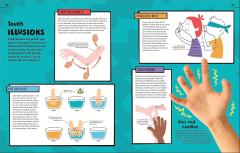 An Excellent Encyclopedia of Your Senses