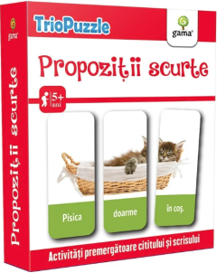 Propozitii scurte