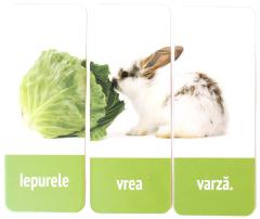 Propozitii scurte
