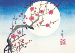 The Moon