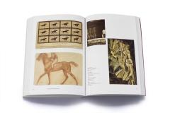 A History of Pictures