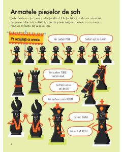 Prima mea carte despre SAH