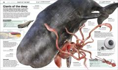 Knowledge Encyclopedia Ocean