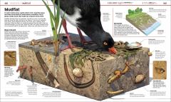 Knowledge Encyclopedia Ocean