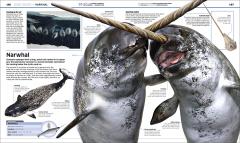 Knowledge Encyclopedia Ocean