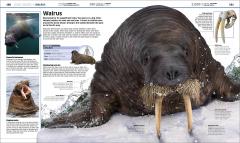 Knowledge Encyclopedia Ocean