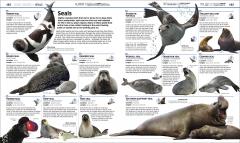 Knowledge Encyclopedia Ocean