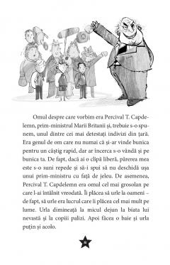 Prim-ministru din intamplare