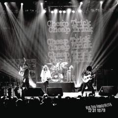 Are You Ready? Live 12 31 1979 - Vinyl