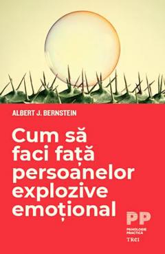 Cum sa faci fata persoanelor explozive emotional