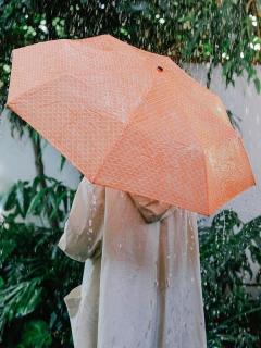 Umbrela - Fish, portocaliu