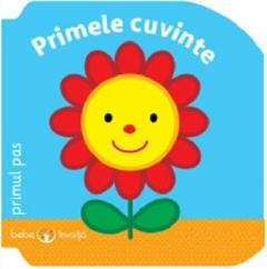Bebe invata. Primele cuvinte. Primul pas