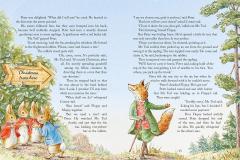 Peter Rabbit: Christmas is Coming