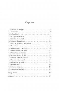 Lumea vazuta de Bob