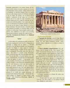 Literatura universala. Manual pentru clasa a XI-a