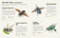 Encyclopedia of Insects