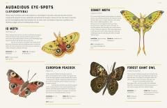 Encyclopedia of Insects